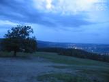 21 : 44