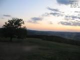 20 : 56
