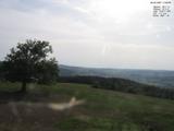 17 : 36