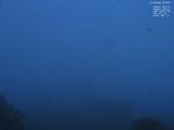 05 : 20