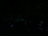 20 : 48