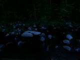 05 : 00
