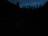 20 : 20