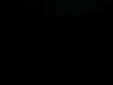 20 : 20