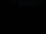 20 : 40
