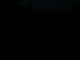 20 : 40