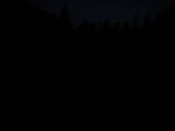 20 : 40