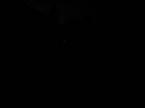 05 : 00