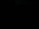 04 : 20