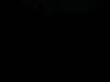 21 : 40