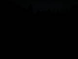 20 : 20