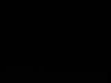 20 : 40