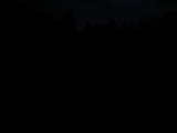06 : 04