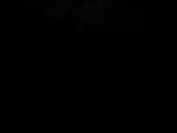 19 : 44