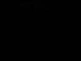 19 : 48