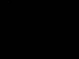 20 : 20