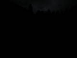 07 : 00