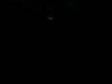 06 : 48