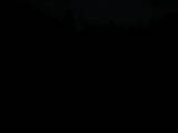 21 : 20