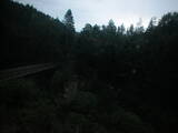 20 : 20