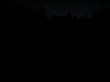 20 : 56