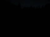 20 : 28