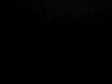 20 : 32