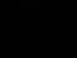 Záznam