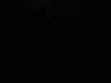 Záznam