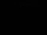 20 : 04