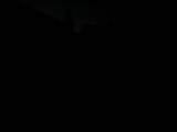 05 : 48