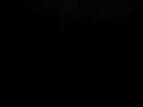 19 : 56