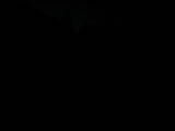 05 : 48