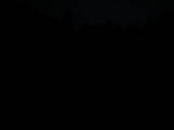 19 : 44