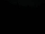 19 : 12