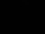 19 : 16