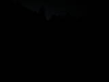 06 : 28