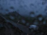 20 : 32