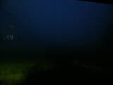 21 : 52