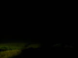 20 : 40