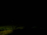 19 : 20
