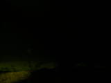 19 : 24