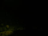 22 : 20