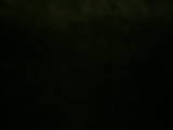 17 : 50