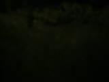 19 : 00