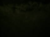 19 : 04