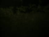 19 : 16