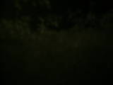 19 : 20