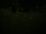 19 : 24