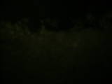 19 : 28